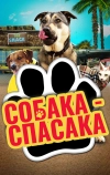 Собака-спасака (2016)