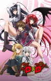 Старшая школа DxD (2012)