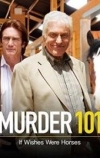 Убийство 101: Кабы сивому коню черную гриву (2007)