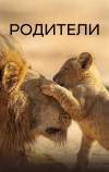 Родители (2025)
