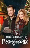 Добро пожаловать в Рождество (2018)