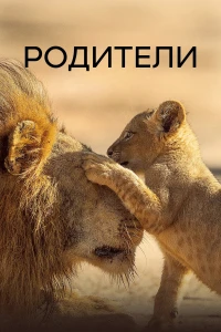 Родители (2025)